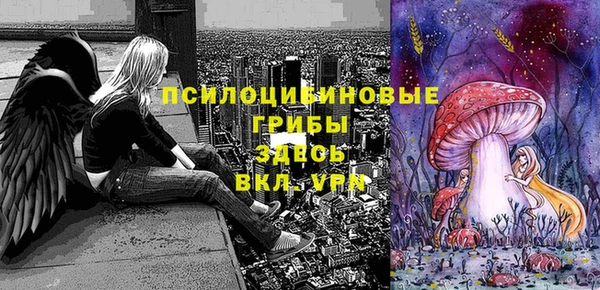 экстази Няндома