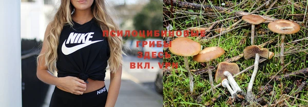 сатива Липки
