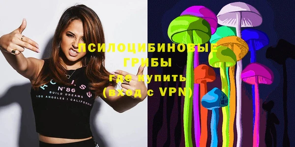 экстази Няндома