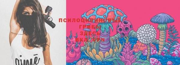 мескалин Новозыбков