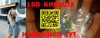 шишки Заволжье