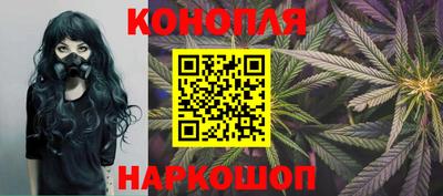 шишки Заволжье