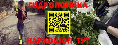 марки lsd Заводоуковск