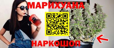шишки Заволжье