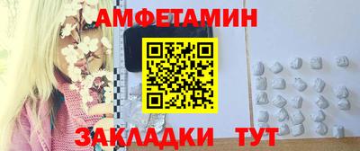 шишки Заволжье