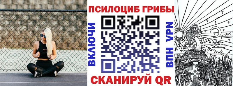 Псилоцибиновые грибы мицелий  закладки  Кропоткин 