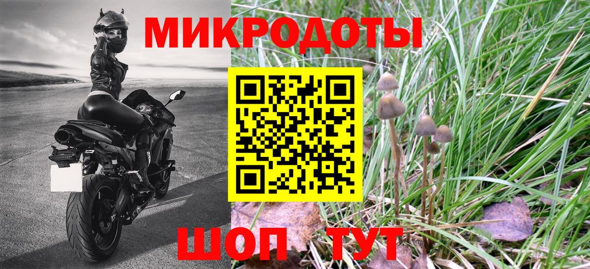 Псилоцибиновые грибы Cubensis Кропоткин